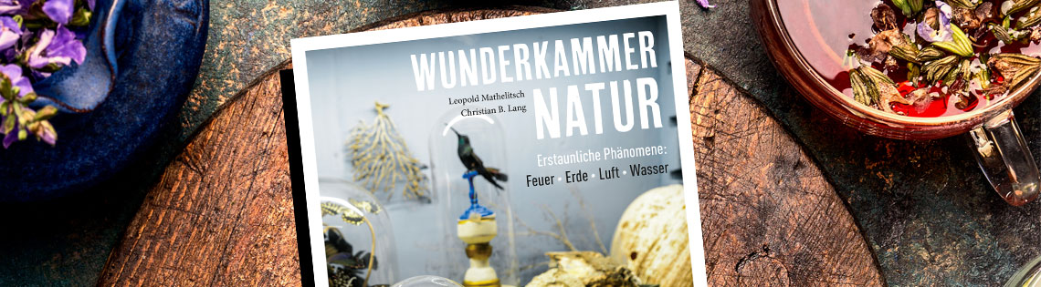 Wunderkammer Natur